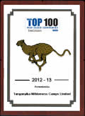 Tanzania Top 100 Award