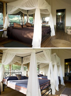 King and Twin Tents at Burunge Tented Safari Camp with a view to the private ensuite bathroom with shower