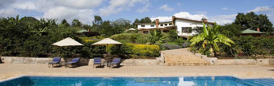 Tloma Lodge showing its gardens and swimming pool