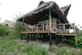 Northern Tanzania: Lake Burunge Tented Camp