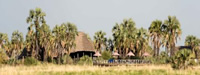 Maramboi Tented Camp un campamento de safari en el norte de Tanzana a orillas del Lago Manyara