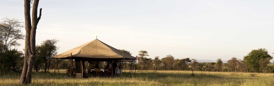 Relax in the Library or Lounge Tent