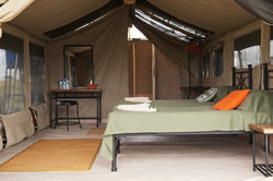 Your Luxury Tented Room!