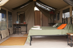 Your Luxury Tented Room! Your Luxury Tented Room!