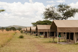 Private Tented Rooms Private Tented Rooms