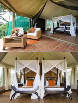 Luxury tented accommodation with private ensuite facilities