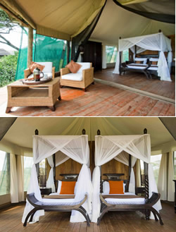 Luxury tented accommodation with private ensuite facilities