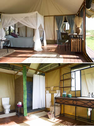 Standard Room at Maramboi Tented Camp. Bathroom ensuite and views to Lake Manyara Standard Room at Maramboi Tented Camp. Bathroom ensuite and views to Lake Manyara