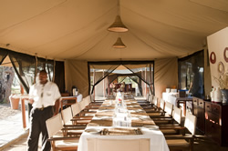 Dining at Masek Under Canvas