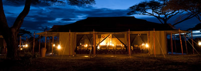 Evening Dining at Masek Under Canvas