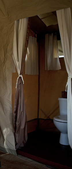 Your Luxury Tented Room!