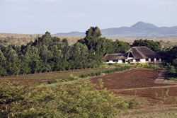 A closer view of Ngorongoro Farm House